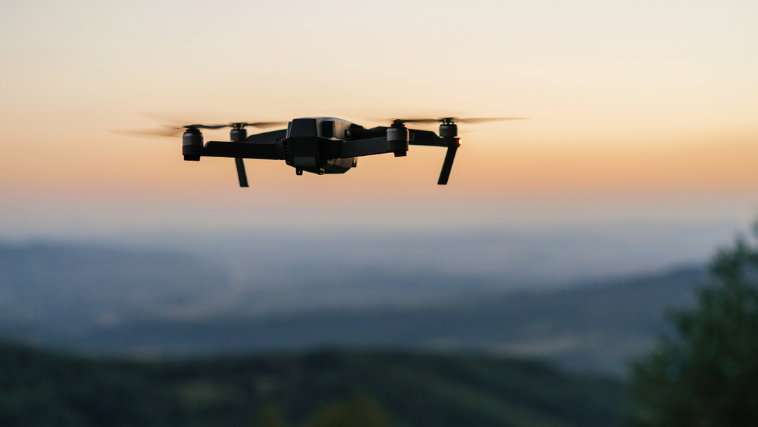 Revolutionising Conservation : A Glimpse into New Zealand's Pioneering Drone Efforts
