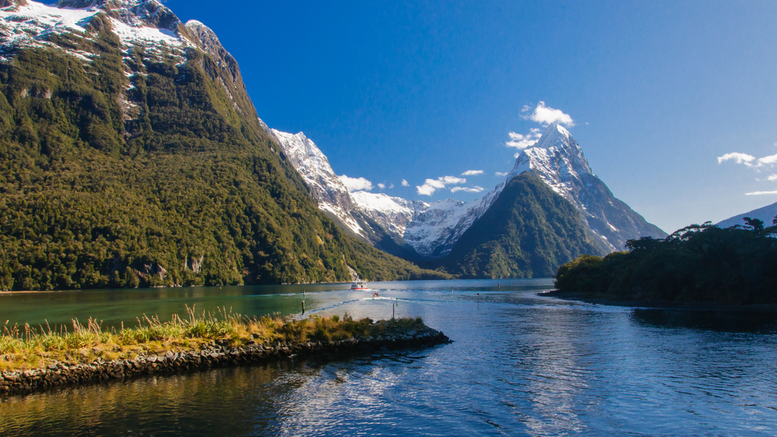 The Secrets of Sinbad Gully : The Last Stand of the Kākāpō