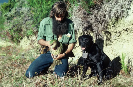 The Kākāpō ‘Survivors’ of Stewart Island