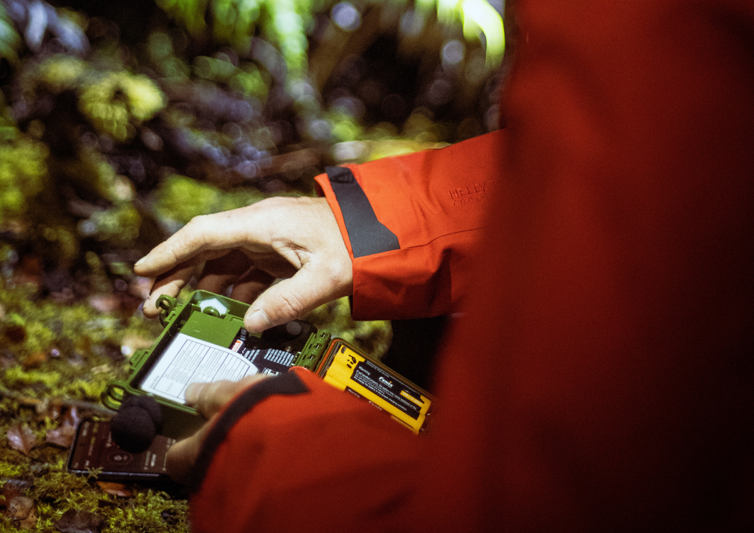 How We ‘Found Our Tribe’ While Exploring How Ecoacoustics Could Transform Conservation (Faunatech X NZCS)