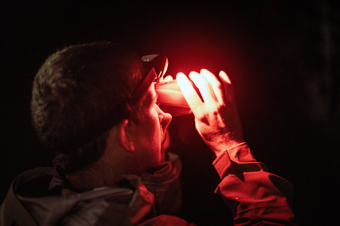 How Thermal and Night Vision Technology Can Transform Conservation (NZCS X Night Vision NZ)
