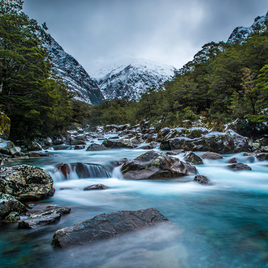 New Zealand's Ecosystems