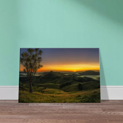 Otago Peninsula Sunrise Canvas