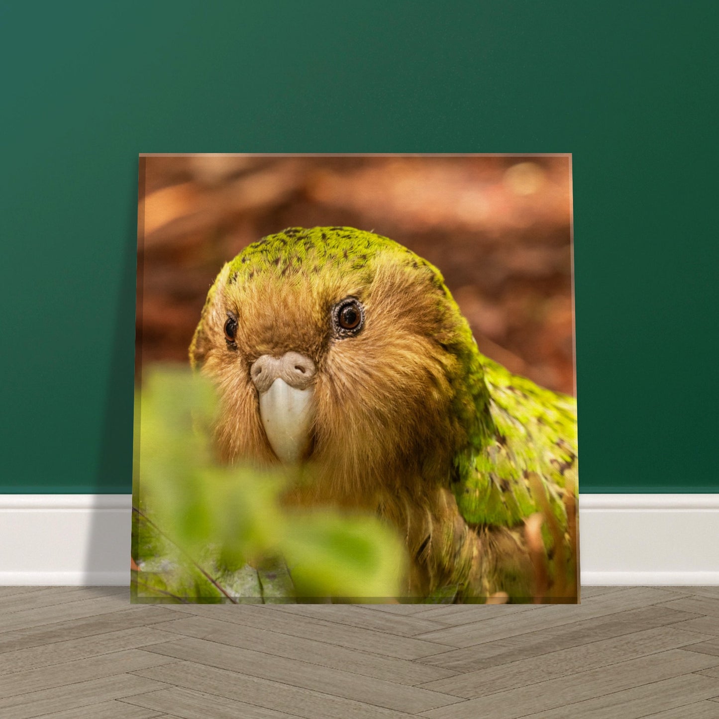 Kakapo Canvas