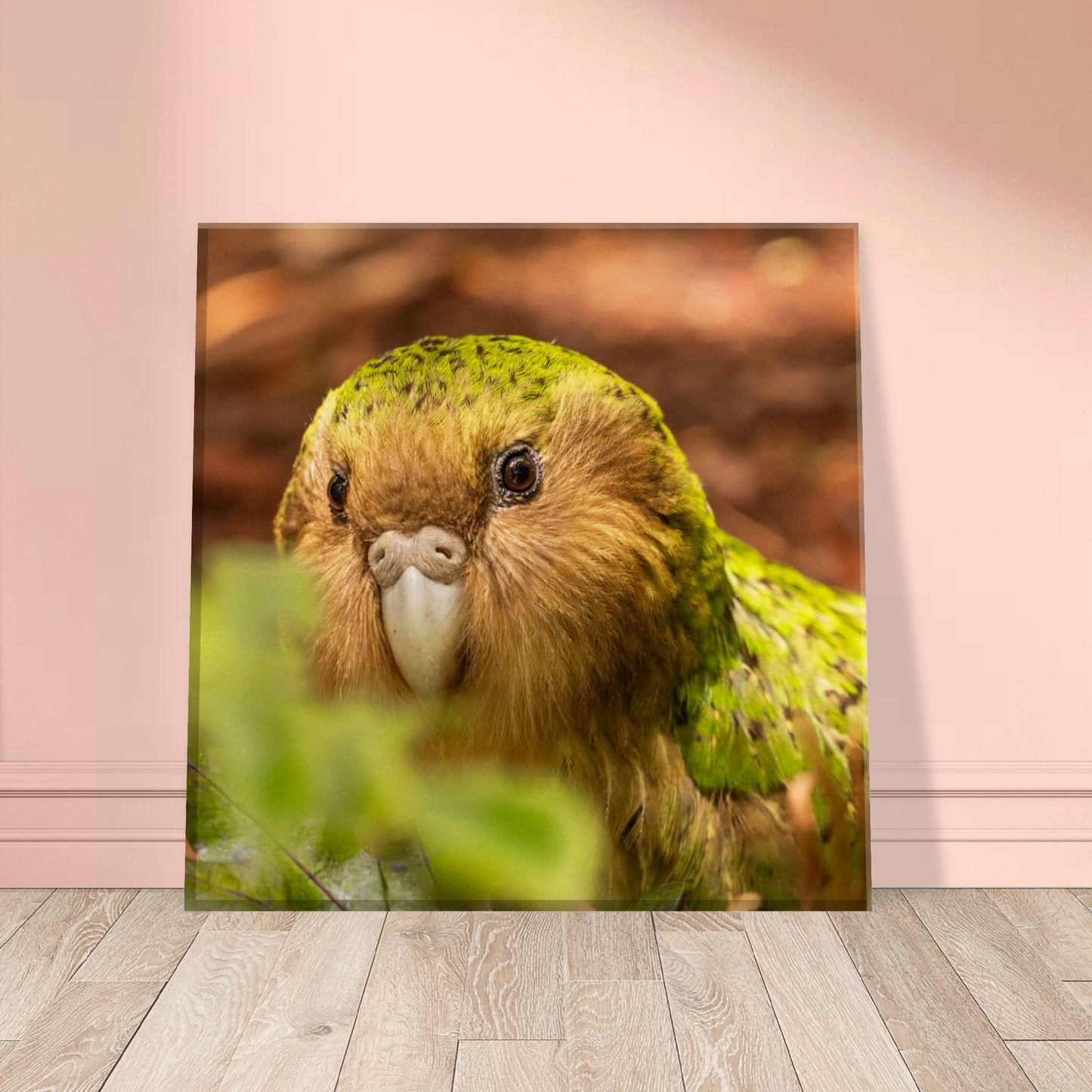 Kakapo Canvas