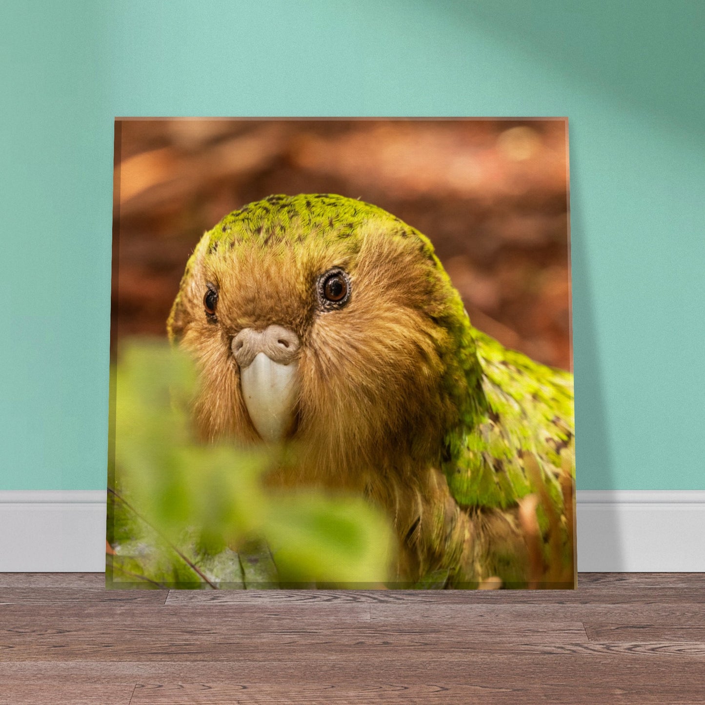 Kakapo Canvas