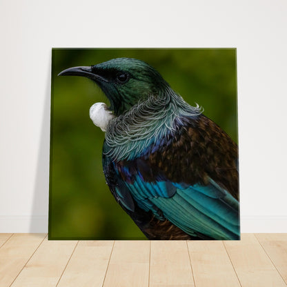 Tui Canvas