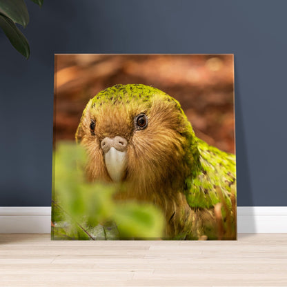 Kakapo Canvas