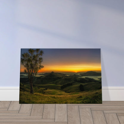 Otago Peninsula Sunrise Canvas