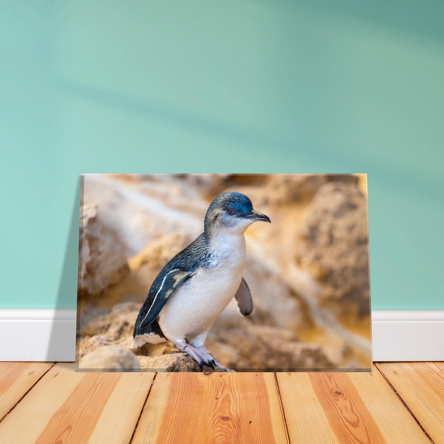 Little Blue Penguin Canvas