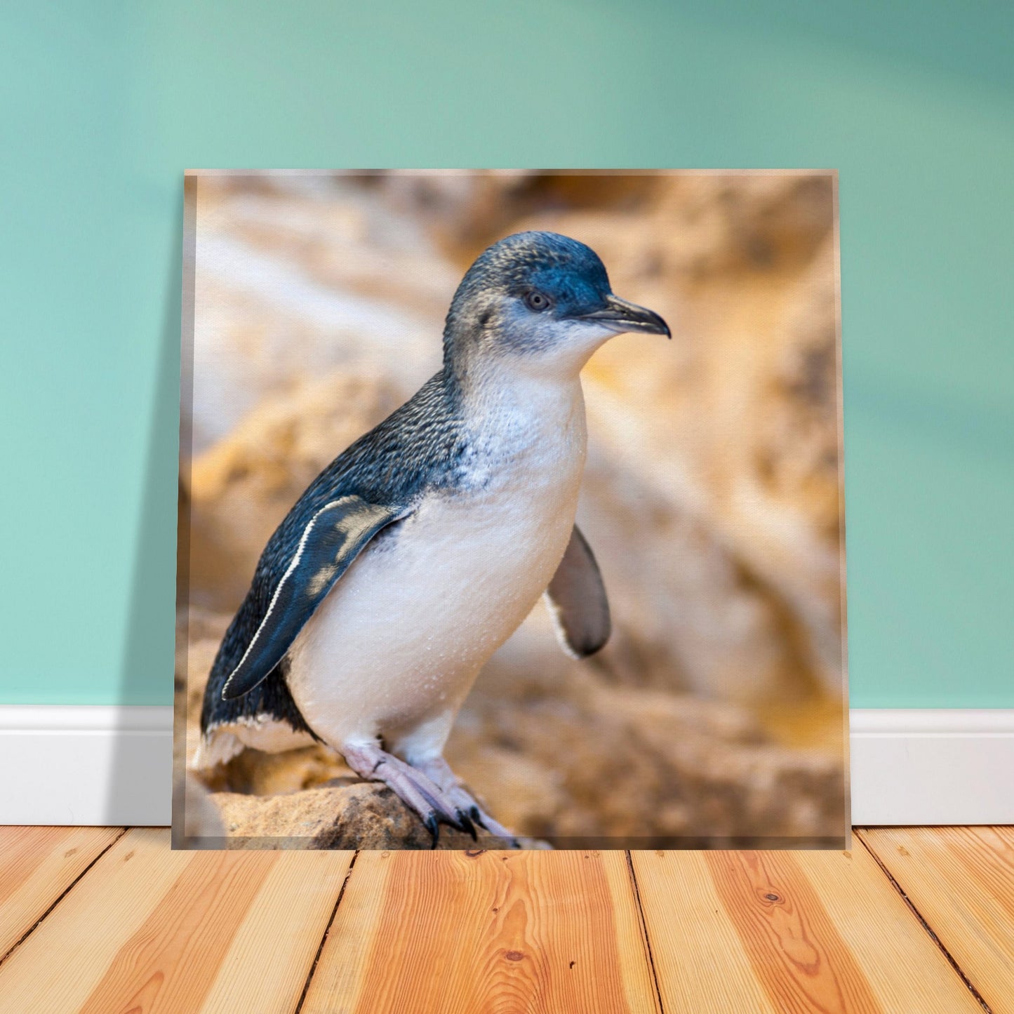 Little Blue Penguin Canvas