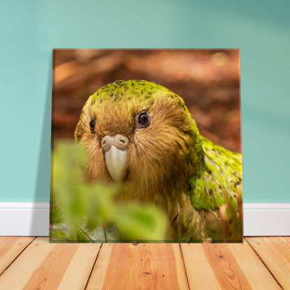 Kakapo Canvas