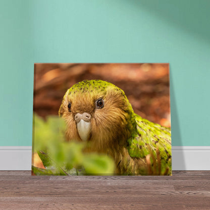 Kakapo Canvas