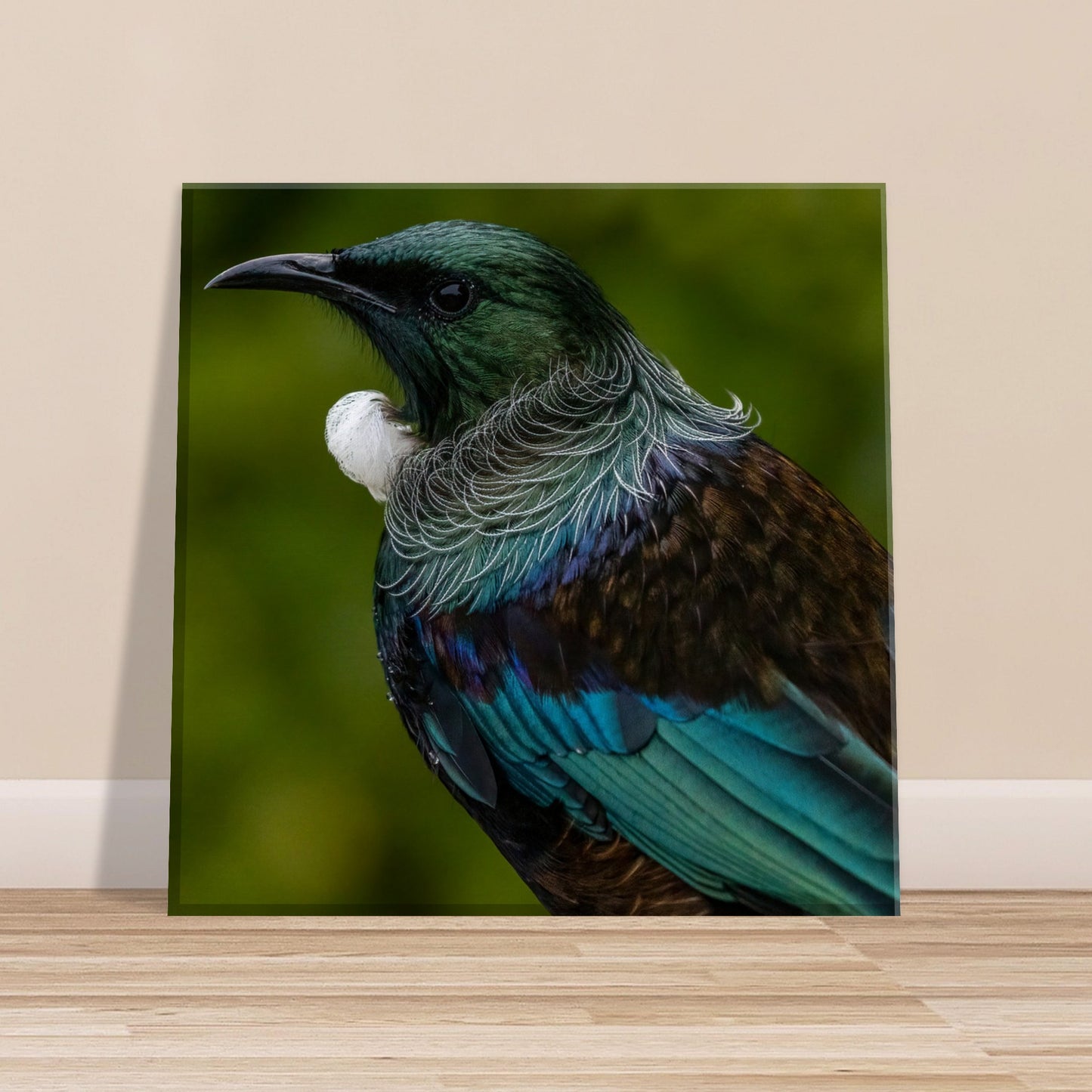 Tui Canvas