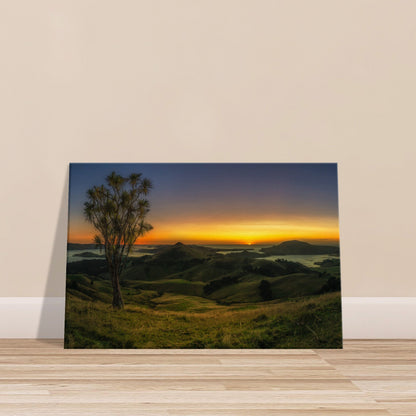 Otago Peninsula Sunrise Canvas