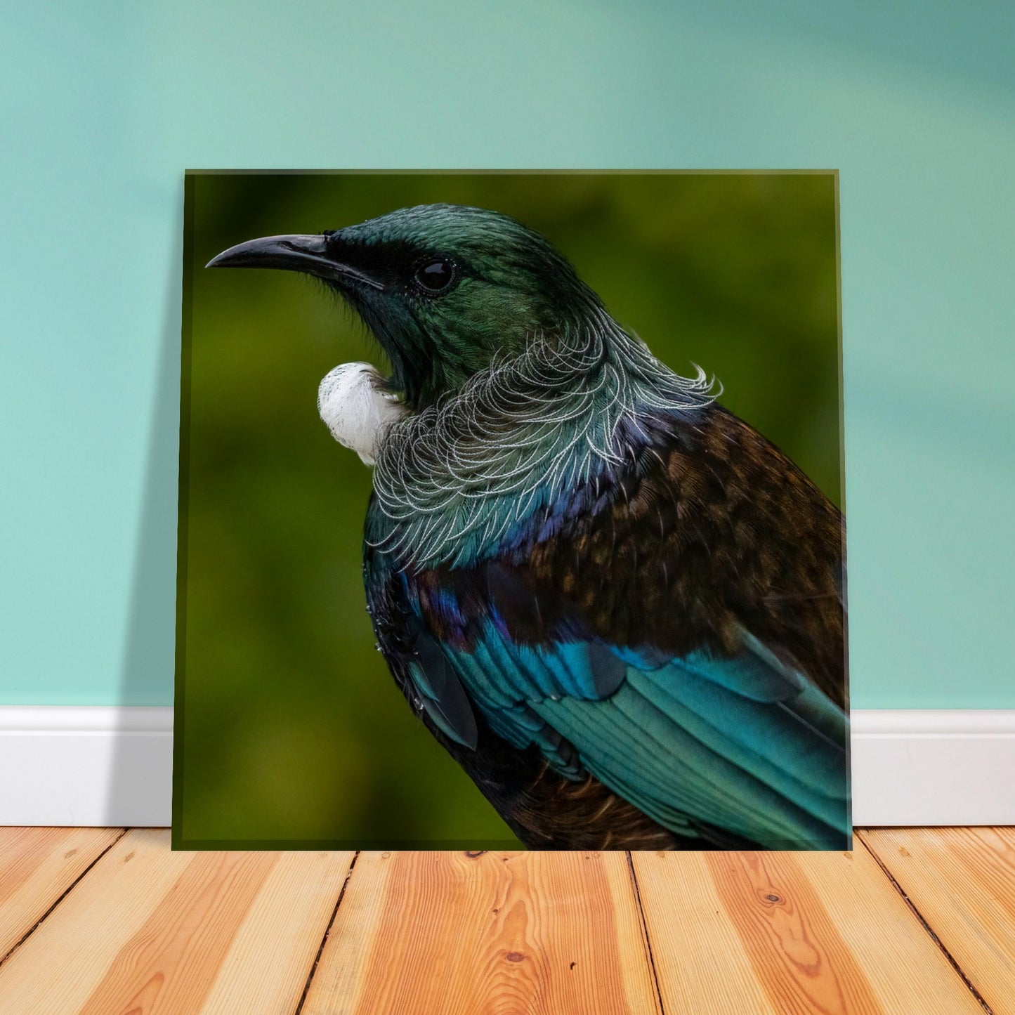 Tui Canvas