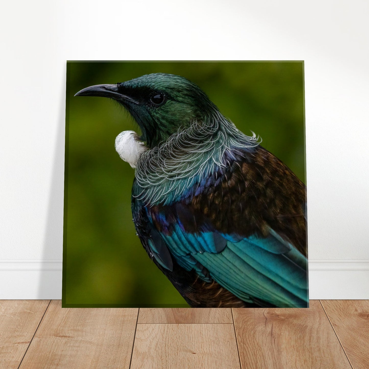 Tui Canvas