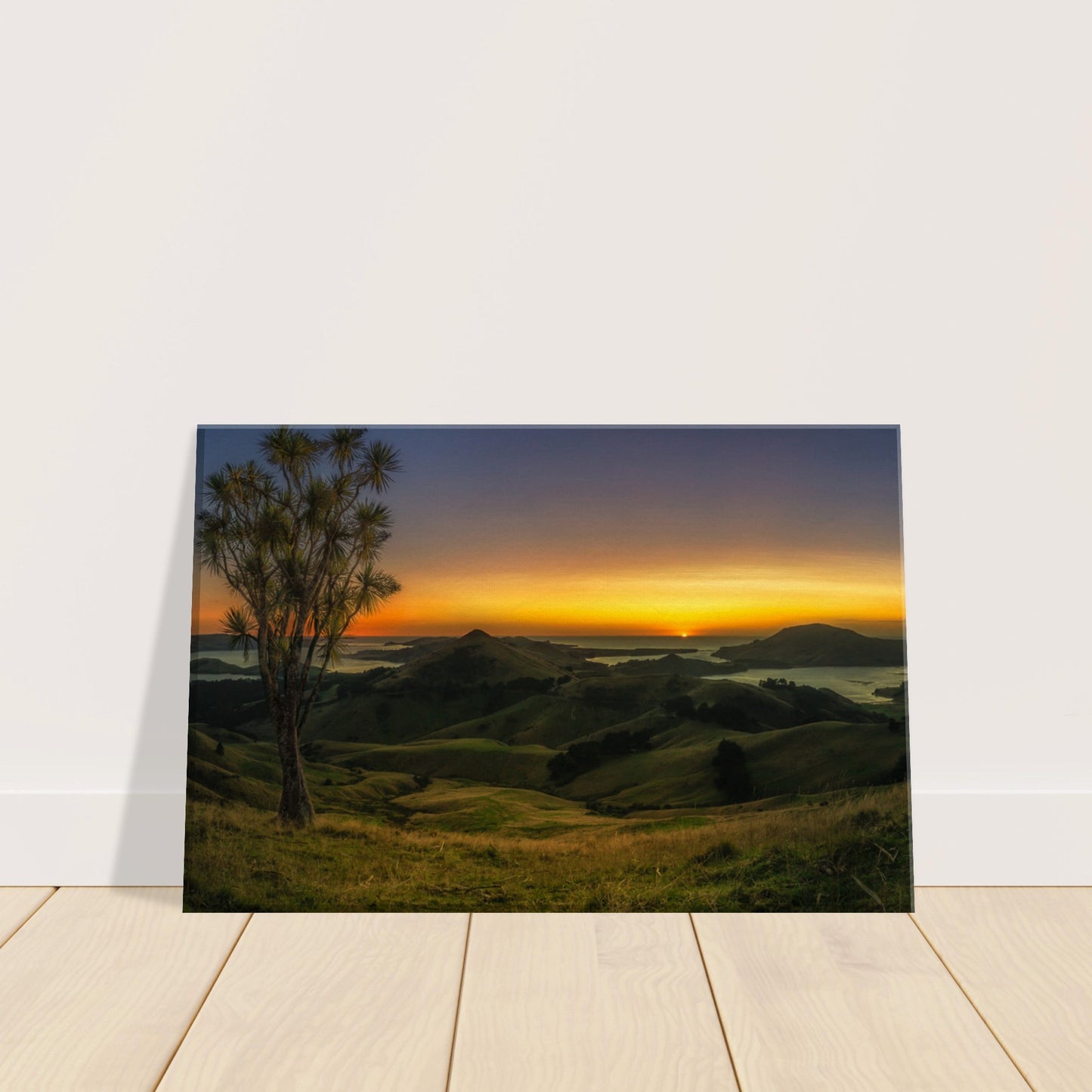 Otago Peninsula Sunrise Canvas