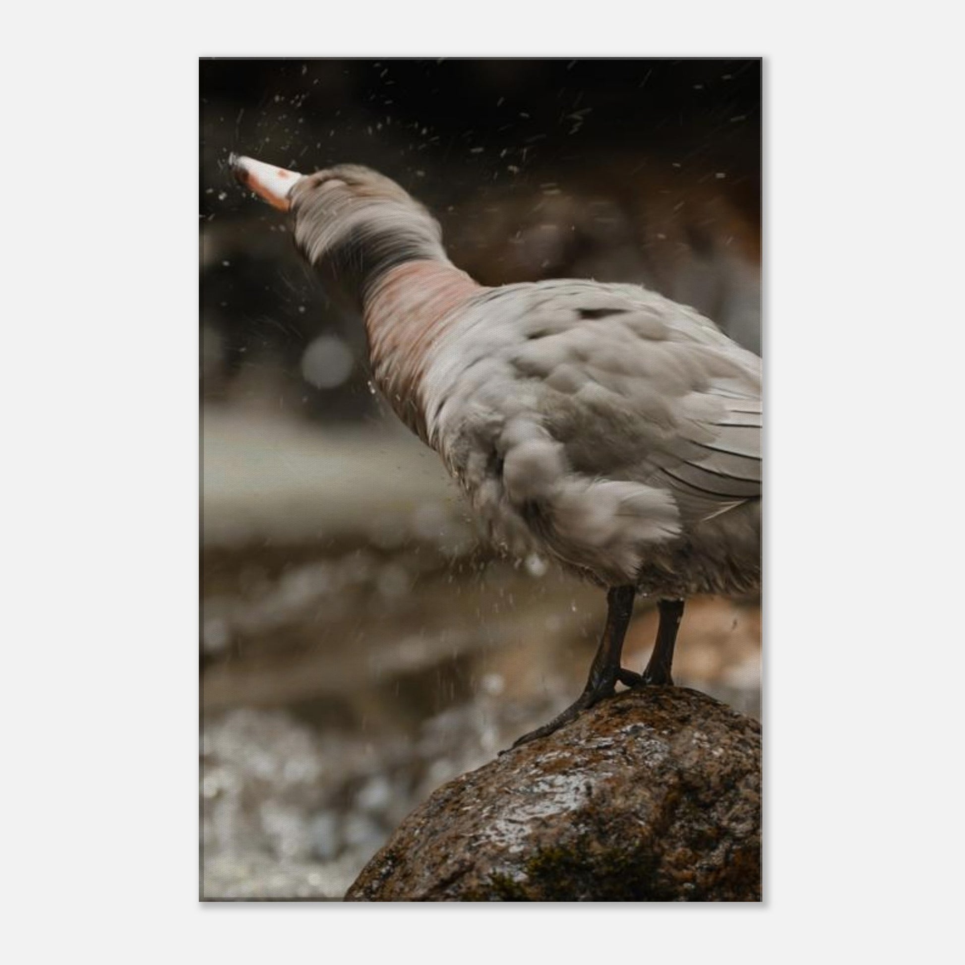 a66c68e3-2d25-40fe-b830-dad9599beb42