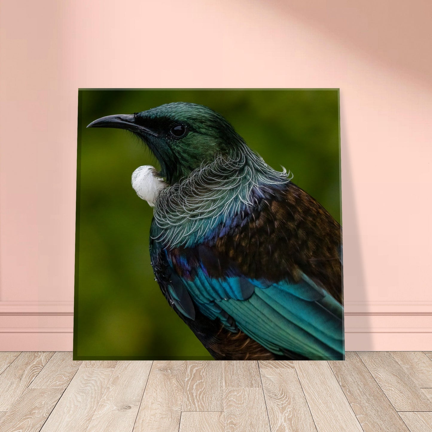 Tui Canvas