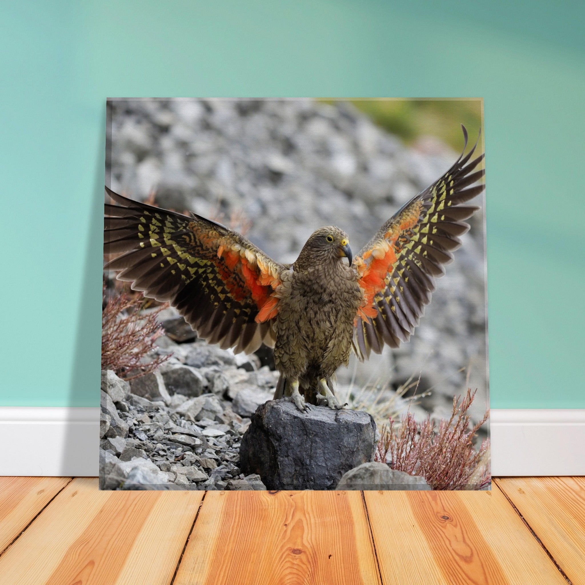 Kea Canvas