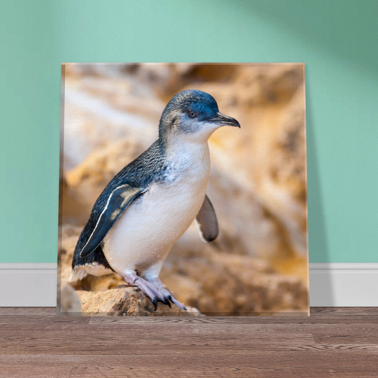 Little Blue Penguin Canvas