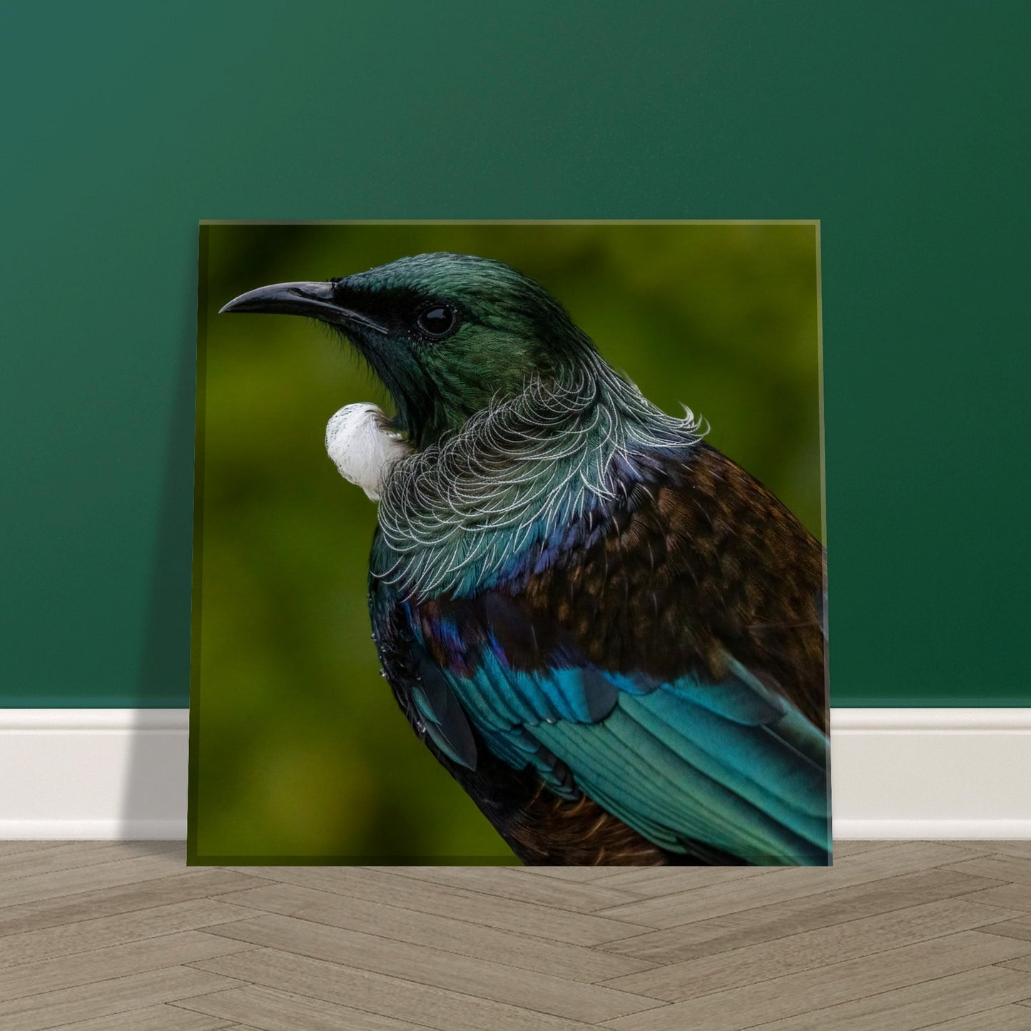 Tui Canvas